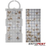 10 Entopest common clothes moth traps and 10 pheromone sticky traps